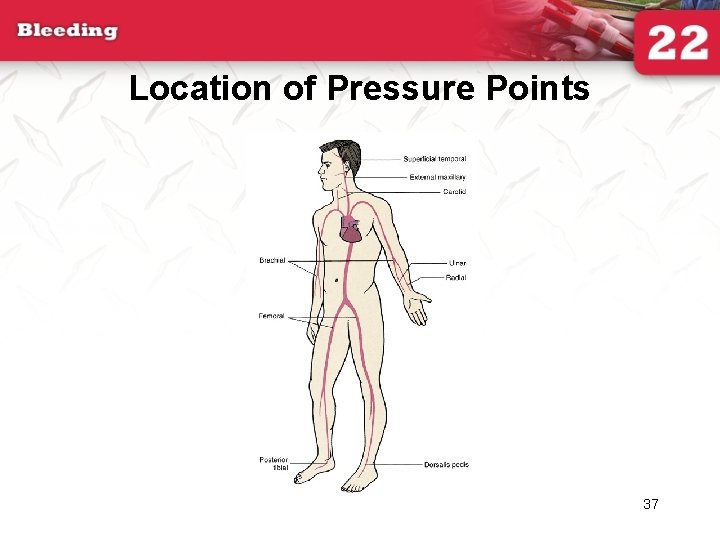 Location of Pressure Points 37 