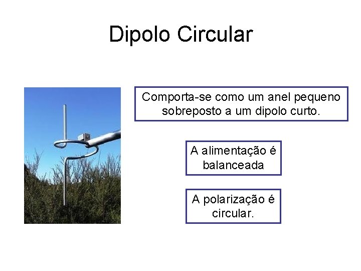 Dipolo Circular Comporta-se como um anel pequeno sobreposto a um dipolo curto. A alimentação