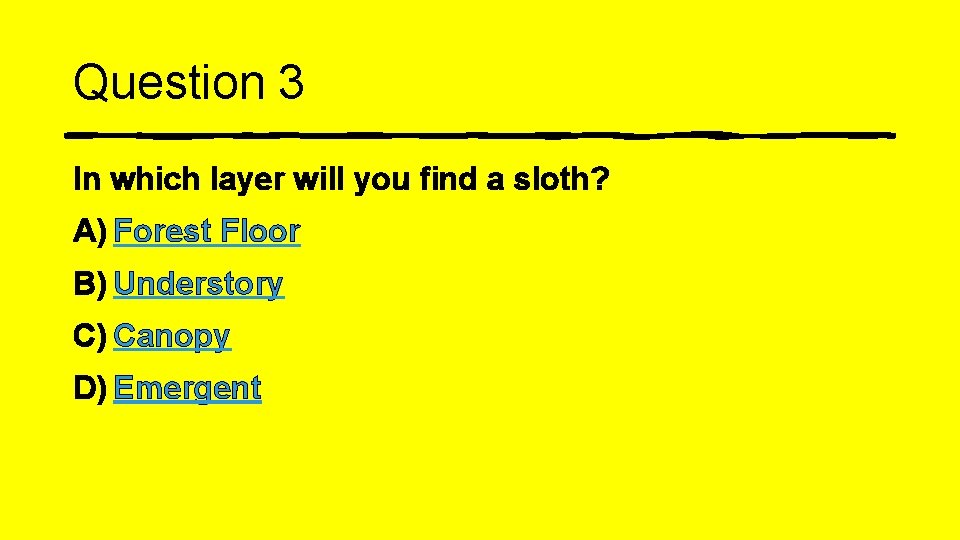 Question 3 In which layer will you find a sloth? A) Forest Floor B)