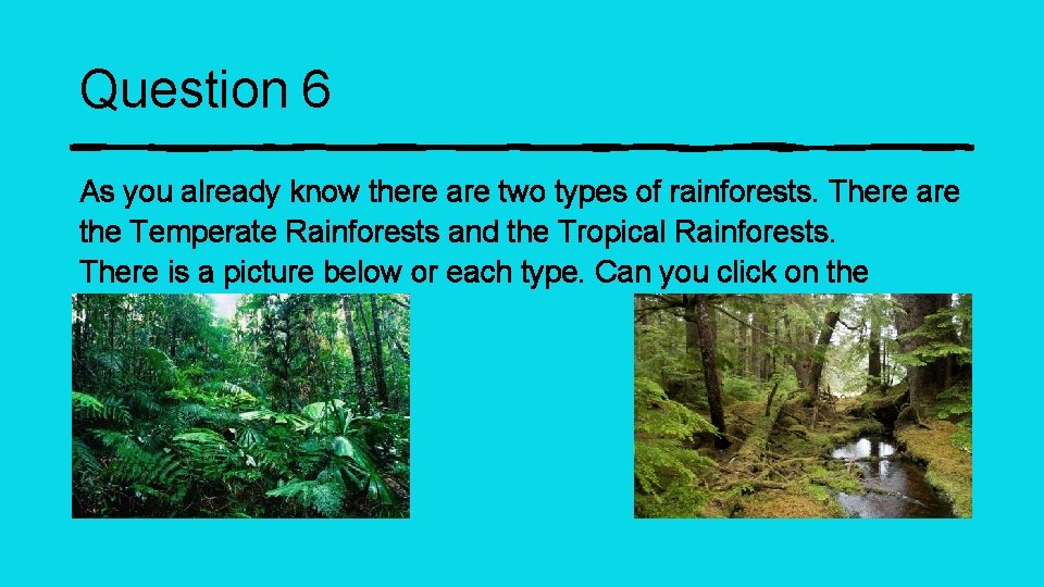 Question 6 As you already know there are two types of rainforests. There are