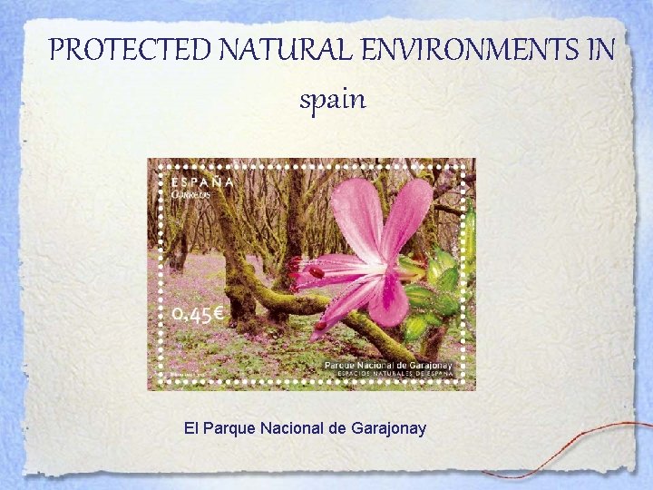 PROTECTED NATURAL ENVIRONMENTS IN spain El Parque Nacional de Garajonay 