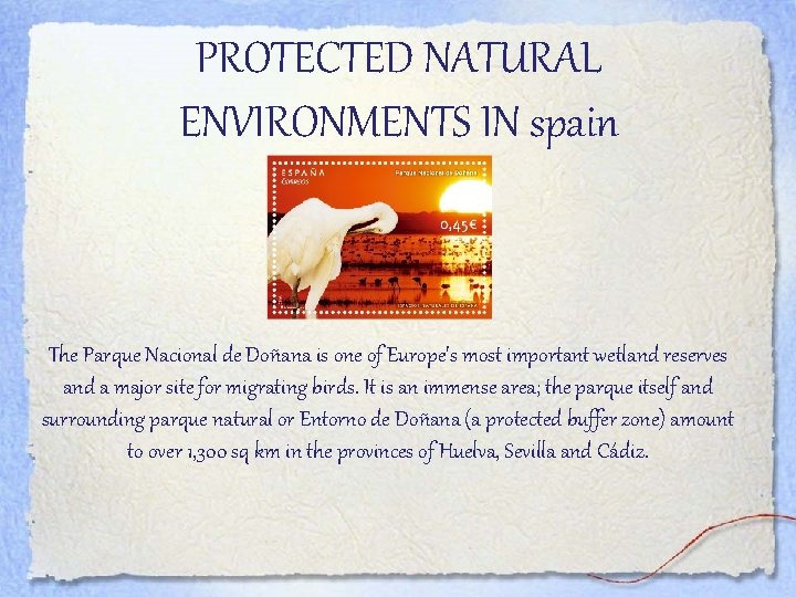 PROTECTED NATURAL ENVIRONMENTS IN spain The Parque Nacional de Doñana is one of Europe's