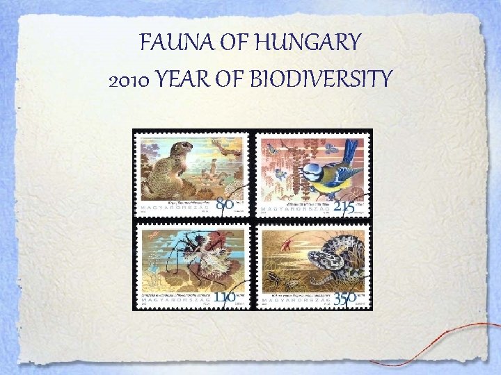 FAUNA OF HUNGARY 2010 YEAR OF BIODIVERSITY 