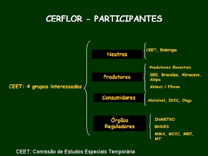 CEET: Comissão de Estudos Especiais Temporária 