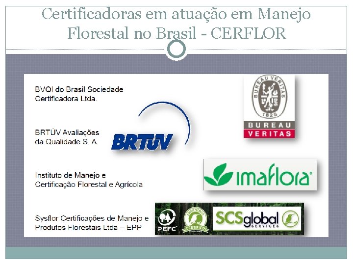 Certificadoras em atuação em Manejo Florestal no Brasil - CERFLOR 