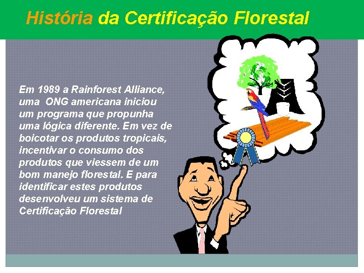 História da Certificação Florestal Em 1989 a Rainforest Alliance, uma ONG americana iniciou um