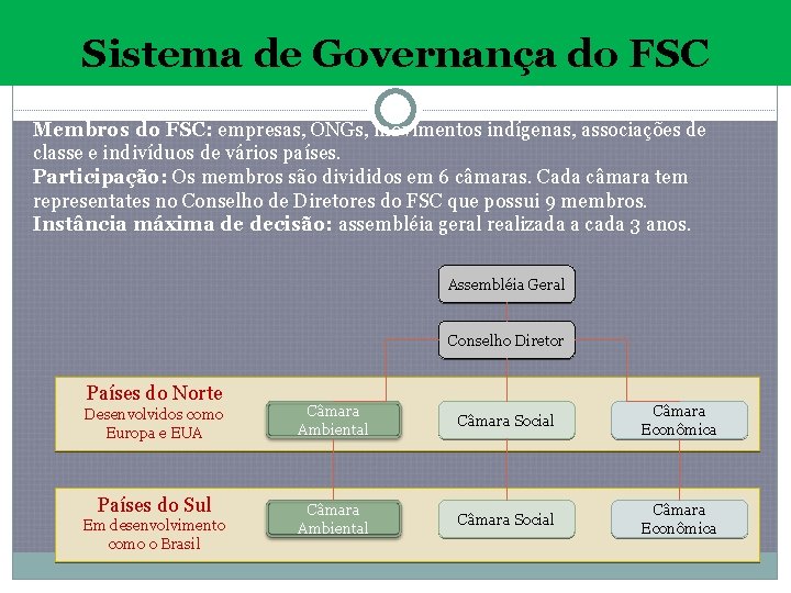 Sistema de Governança do FSC Membros do FSC: empresas, ONGs, movimentos indígenas, associações de