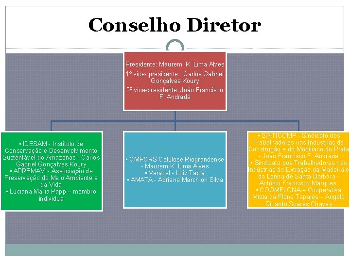 Conselho Diretor Presidente: Maurem K. Lima Alves 1º vice- presidente: Carlos Gabriel Gonçalves Koury