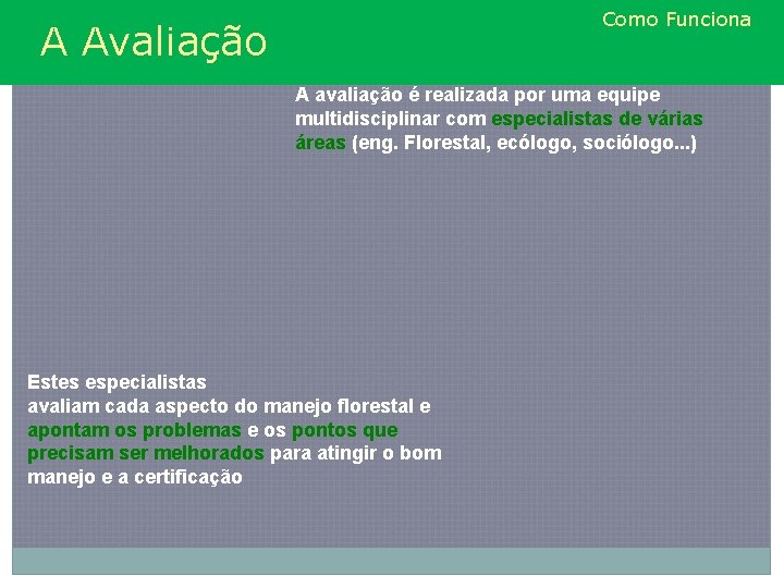 Como Funciona A Avaliação A avaliação é realizada por uma equipe multidisciplinar com especialistas