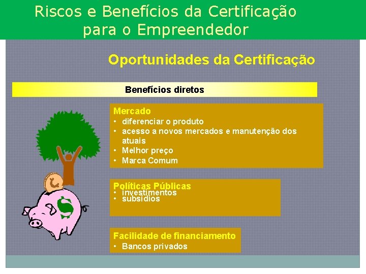 Riscos e Benefícios da Certificação para o Empreendedor Oportunidades da Certificação Benefícios diretos Mercado