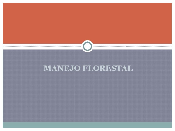 MANEJO FLORESTAL 