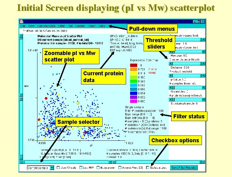 Initial Screen displaying (p. I vs Mw) scatterplot Pull-down menus Threshold sliders Zoomable p.