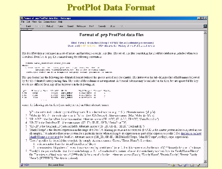 Prot. Plot Data Format 