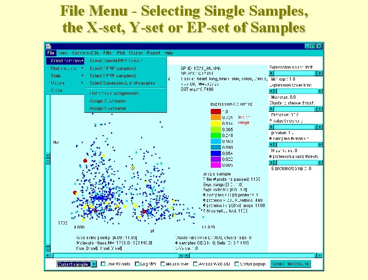 File Menu - Selecting Single Samples, the X-set, Y-set or EP-set of Samples 
