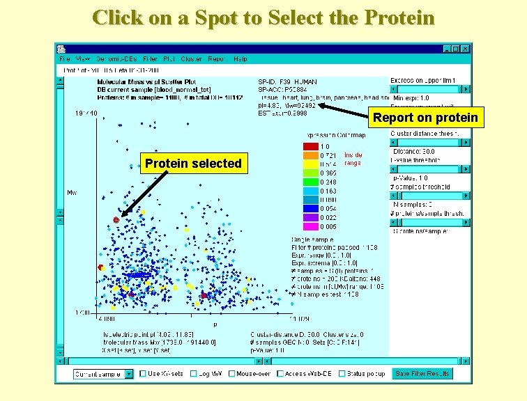 Click on a Spot to Select the Protein Report on protein Protein selected 