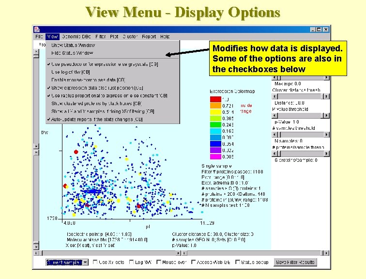 View Menu - Display Options Modifies how data is displayed. Some of the options