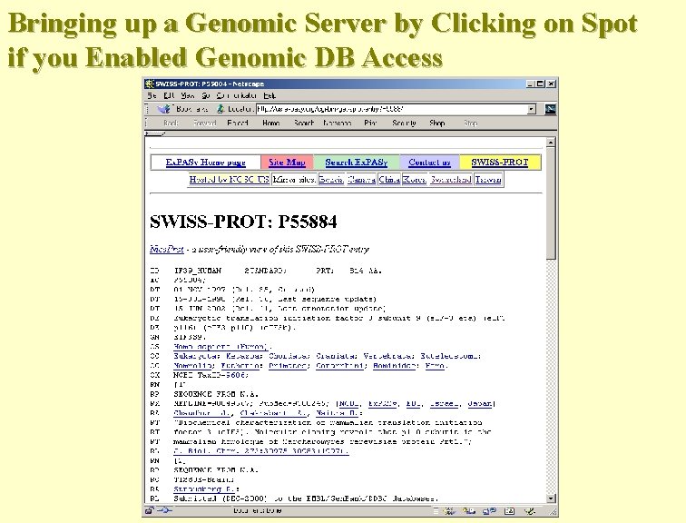 Bringing up a Genomic Server by Clicking on Spot if you Enabled Genomic DB