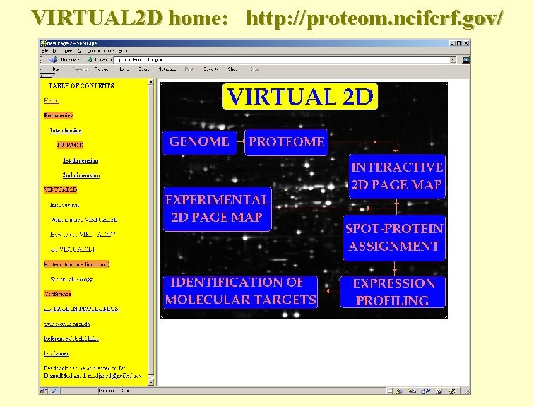 VIRTUAL 2 D home: http: //proteom. ncifcrf. gov/ 