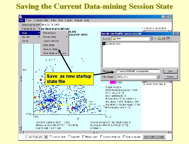 Saving the Current Data-mining Session State Save as new startup state file 