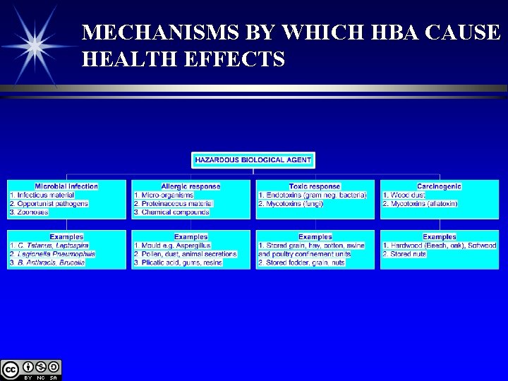 MECHANISMS BY WHICH HBA CAUSE HEALTH EFFECTS 
