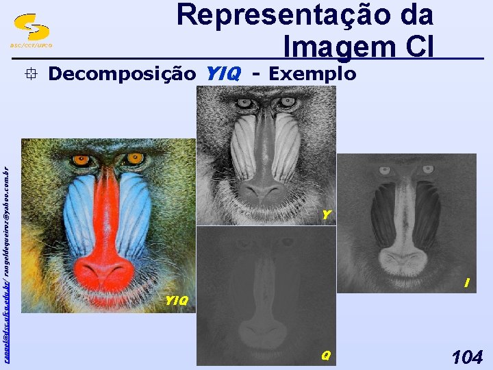 DSC/CCT/UFCG Representação da Imagem CI rangel@dsc. ufcg. edu. br/ rangeldequeiroz@yahoo. com. br ° Decomposição