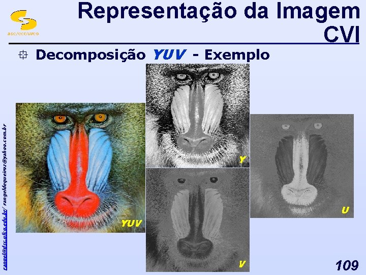 DSC/CCT/UFCG Representação da Imagem CVI rangel@dsc. ufcg. edu. br/ rangeldequeiroz@yahoo. com. br ° Decomposição
