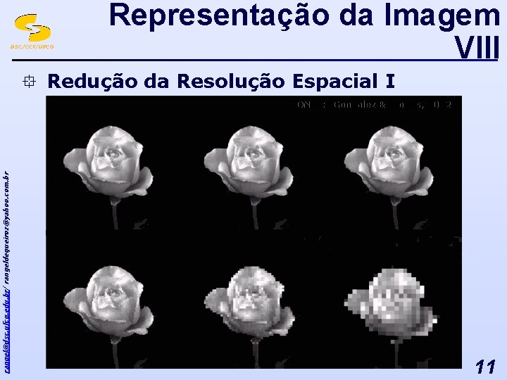 DSC/CCT/UFCG Representação da Imagem VIII ° Redução da Resolução Espacial I rangel@dsc. ufcg. edu.