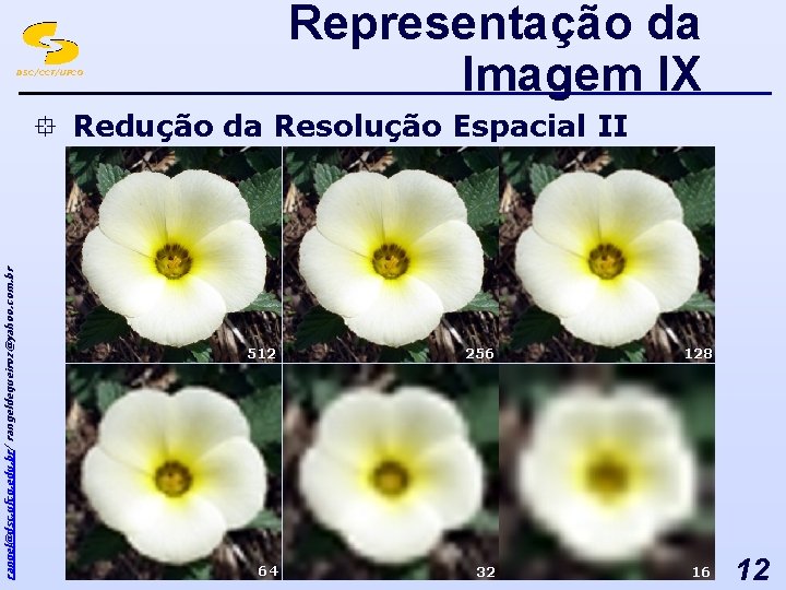 Representação da Imagem IX DSC/CCT/UFCG rangel@dsc. ufcg. edu. br/ rangeldequeiroz@yahoo. com. br ° Redução