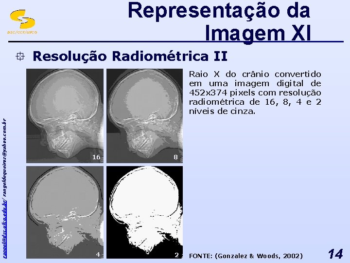 Representação da Imagem XI DSC/CCT/UFCG ° Resolução Radiométrica II rangel@dsc. ufcg. edu. br/ rangeldequeiroz@yahoo.