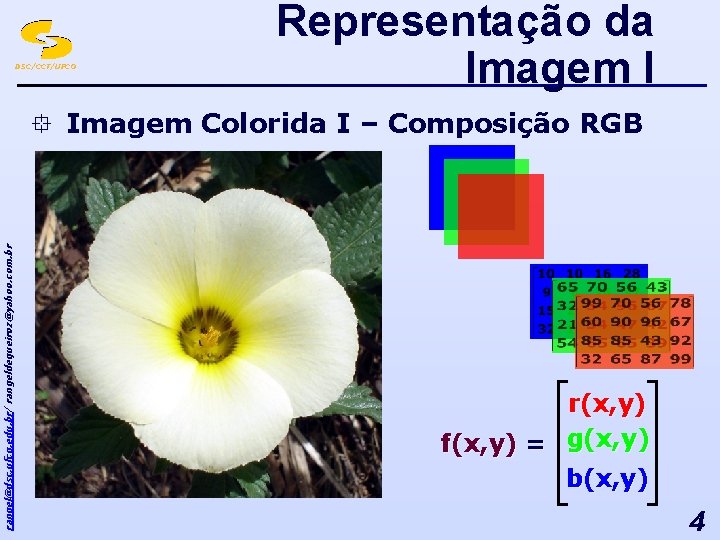 DSC/CCT/UFCG Representação da Imagem I rangel@dsc. ufcg. edu. br/ rangeldequeiroz@yahoo. com. br ° Imagem