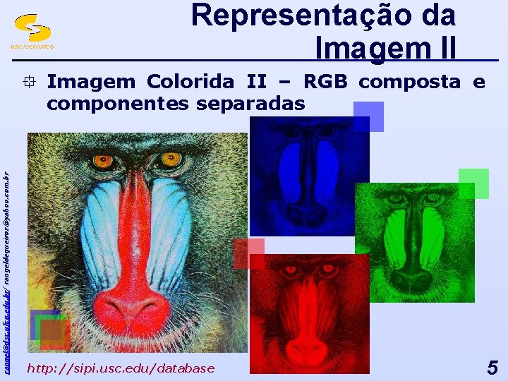 DSC/CCT/UFCG Representação da Imagem II ° Imagem Colorida II – RGB composta e rangel@dsc.