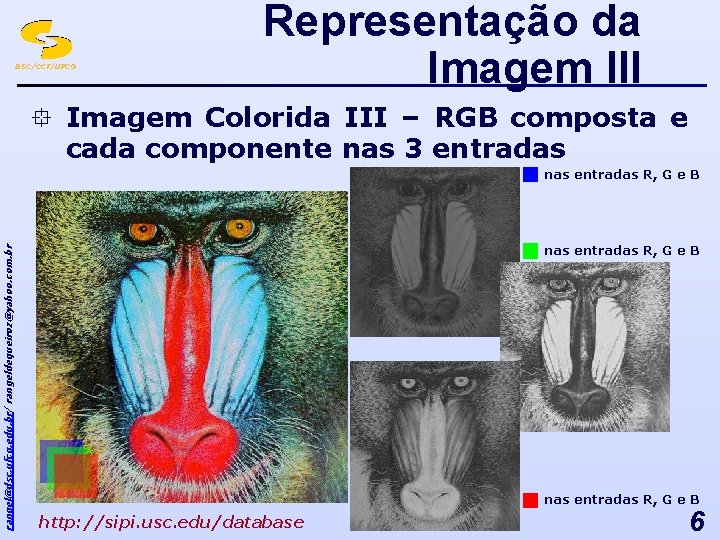 DSC/CCT/UFCG Representação da Imagem III ° Imagem Colorida III – RGB composta e cada