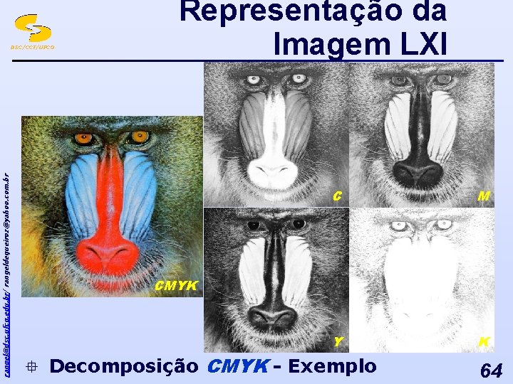rangel@dsc. ufcg. edu. br/ rangeldequeiroz@yahoo. com. br DSC/CCT/UFCG Representação da Imagem LXI C M