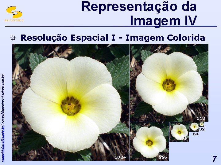 DSC/CCT/UFCG Representação da Imagem IV rangel@dsc. ufcg. edu. br/ rangeldequeiroz@yahoo. com. br ° Resolução