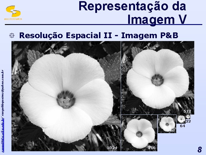 DSC/CCT/UFCG Representação da Imagem V rangel@dsc. ufcg. edu. br/ rangeldequeiroz@yahoo. com. br ° Resolução