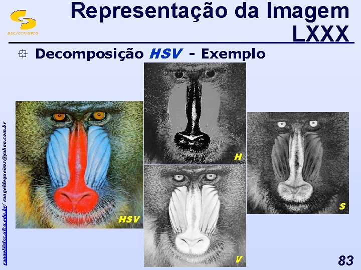 DSC/CCT/UFCG Representação da Imagem LXXX rangel@dsc. ufcg. edu. br/ rangeldequeiroz@yahoo. com. br ° Decomposição