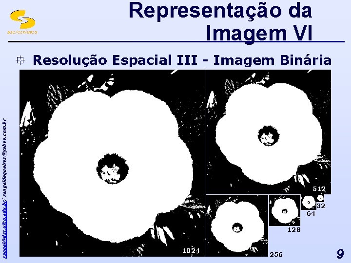 DSC/CCT/UFCG Representação da Imagem VI rangel@dsc. ufcg. edu. br/ rangeldequeiroz@yahoo. com. br ° Resolução