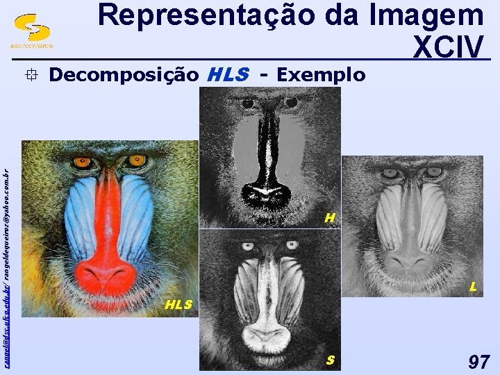 DSC/CCT/UFCG Representação da Imagem XCIV rangel@dsc. ufcg. edu. br/ rangeldequeiroz@yahoo. com. br ° Decomposição
