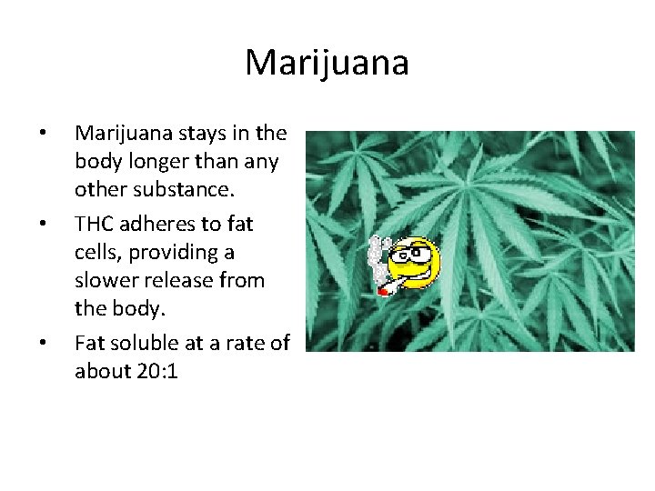 Marijuana • • • Marijuana stays in the body longer than any other substance.