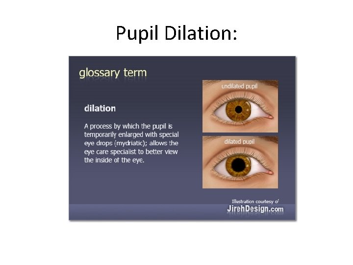 Pupil Dilation: 