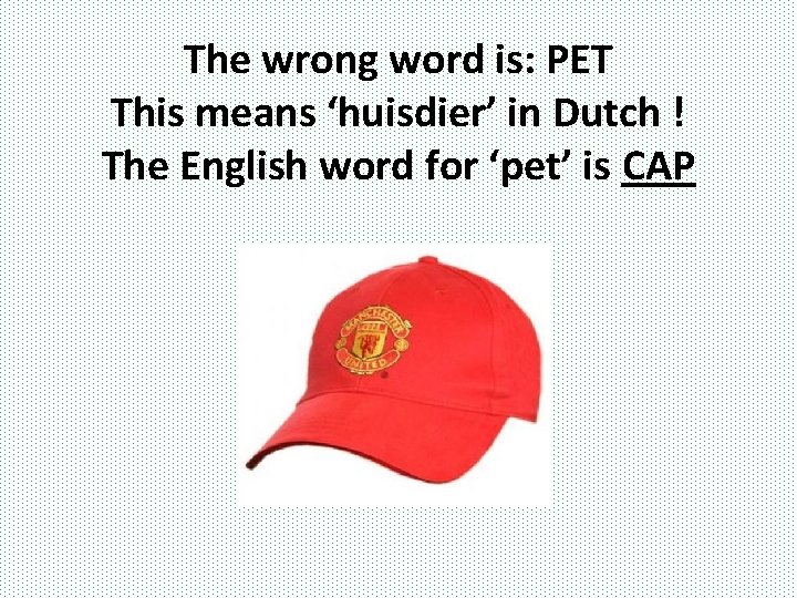 The wrong word is: PET This means ‘huisdier’ in Dutch ! The English word