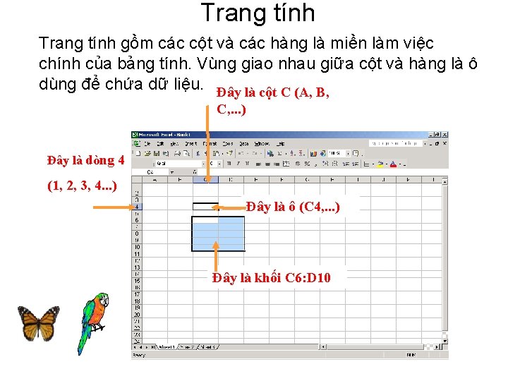 Trang tính gồm các cột và các hàng là miền làm việc chính của