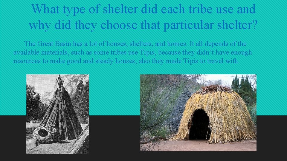 What type of shelter did each tribe use and why did they choose that
