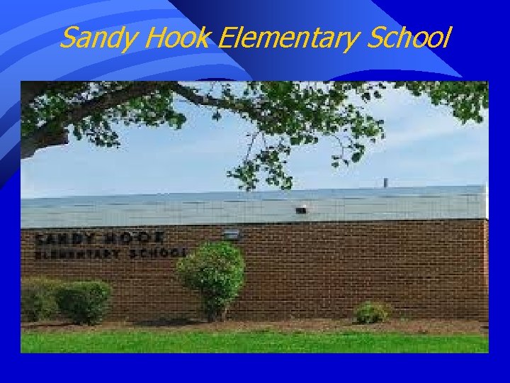 Sandy Hook Elementary School 