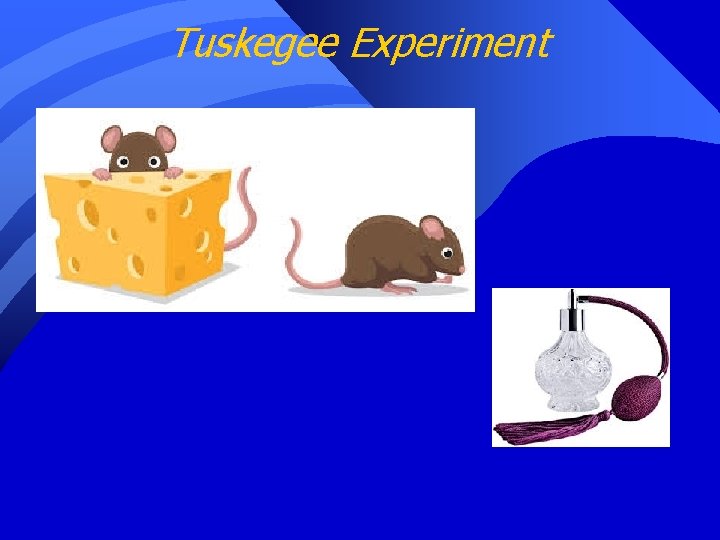 Tuskegee Experiment 