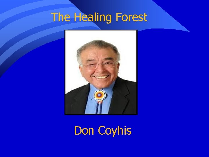 The Healing Forest Don Coyhis 