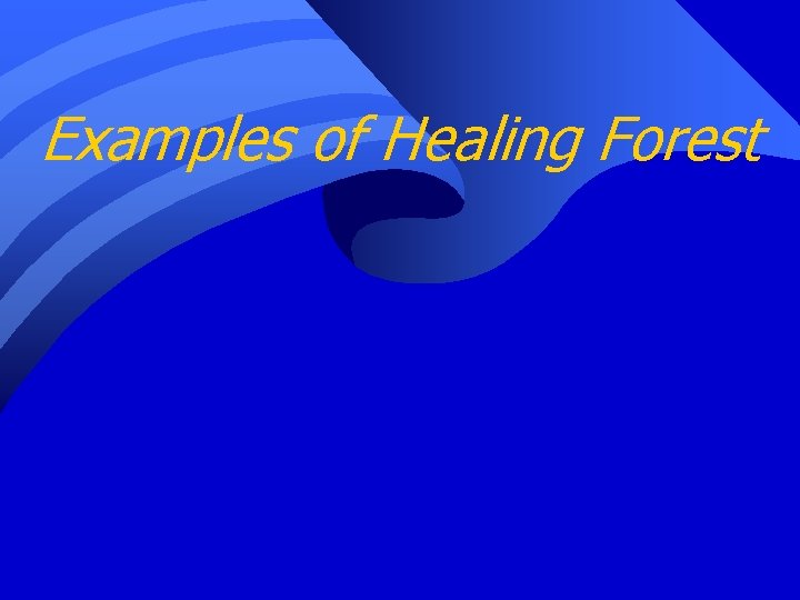 Examples of Healing Forest 