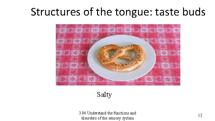 Structures of the tongue: taste buds Saltytaste bud. 3. 04 Understand the functions and