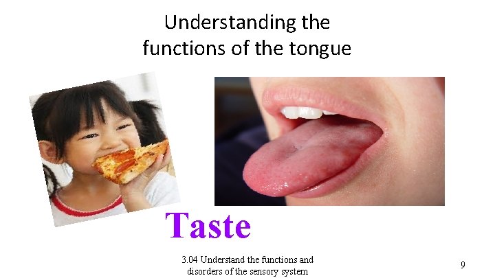 Understanding the functions of the tongue Taste 3. 04 Understand the functions and disorders