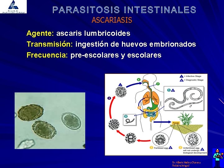 ASCARIASIS Agente: ascaris lumbricoides Transmisión: ingestión de huevos embrionados Frecuencia: pre-escolares y escolares Dr.
